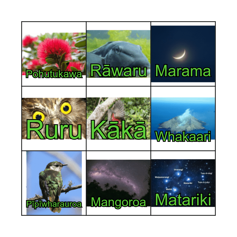 Traditional Māori Weather Forecasting Bingo Card