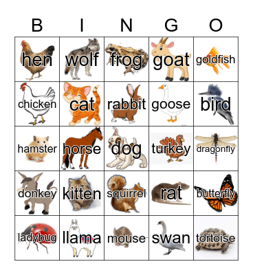 Animals Bingo Card