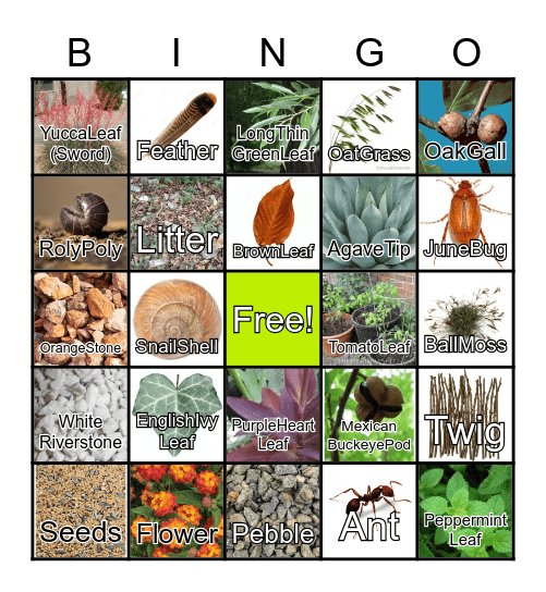 Ethan's Birthday BINGO! Bingo Card