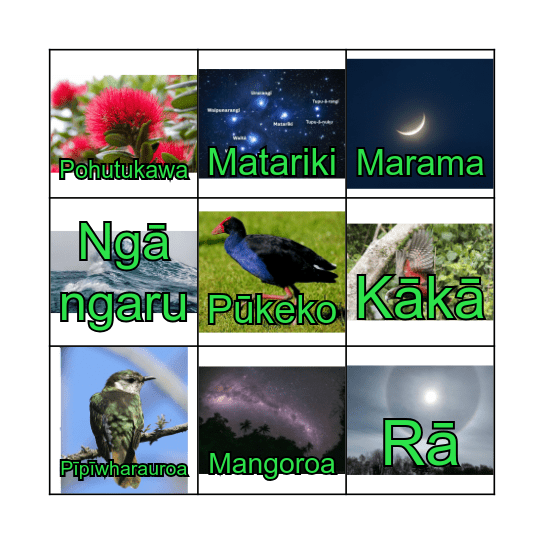 Traditional Māori Weather Forecasting Bingo Card