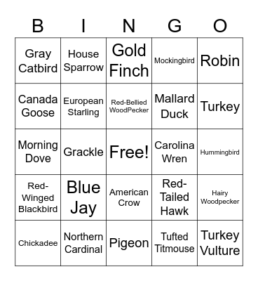 Bird Watching Bingo Card