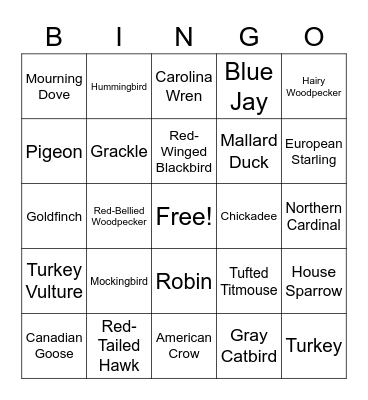 Bird Watching Bingo Card