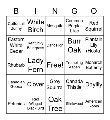 Neighbourhood Plant Bingo Card