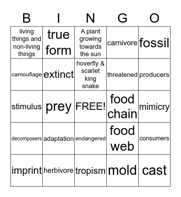 Unit Practice Bingo - Chapters 1 & 2 Bingo Card