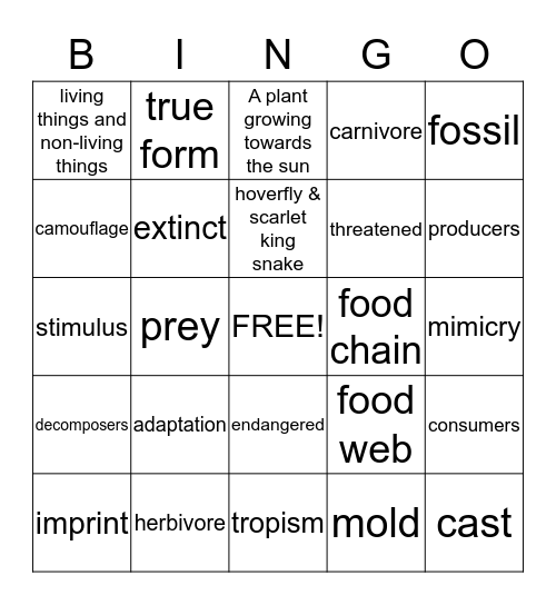 Unit Practice Bingo - Chapters 1 & 2 Bingo Card