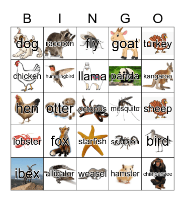 Animals Bingo Card