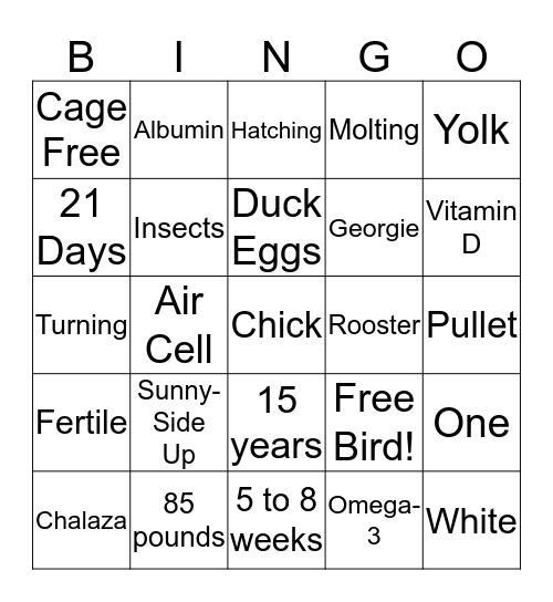 Poultry Bingo Card