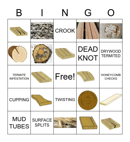 Timber Defects Bingo Card