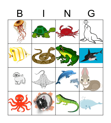 Pets and Ocean Animals Bingo Card