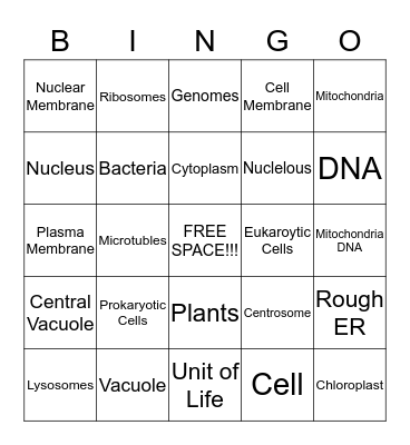 Animal Cells Bingo Card