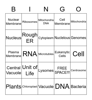 Animal Cells Bingo Card