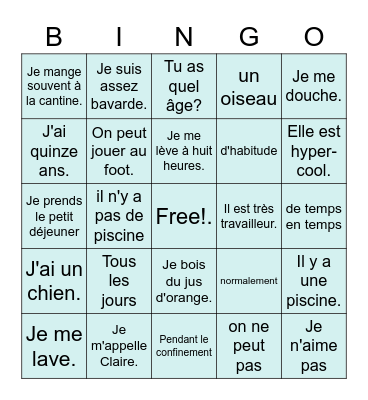 S1 French End of year revision Bingo Card