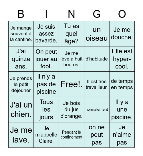 S1 French End of year revision Bingo Card