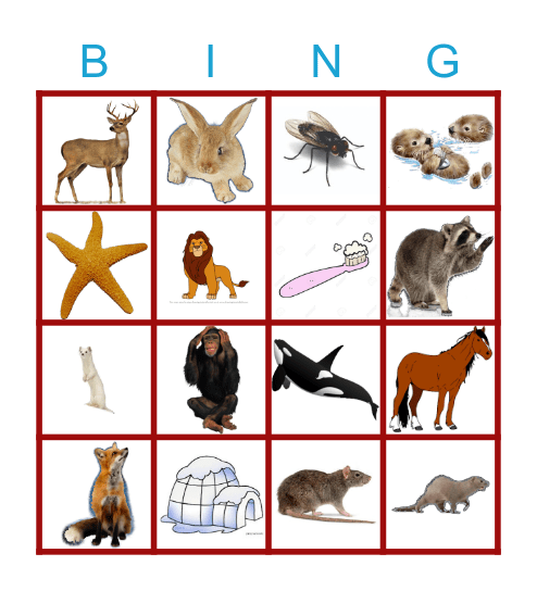 Animals Bingo Card