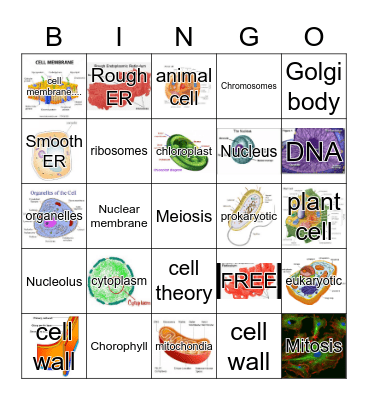 CELL BINGO Card