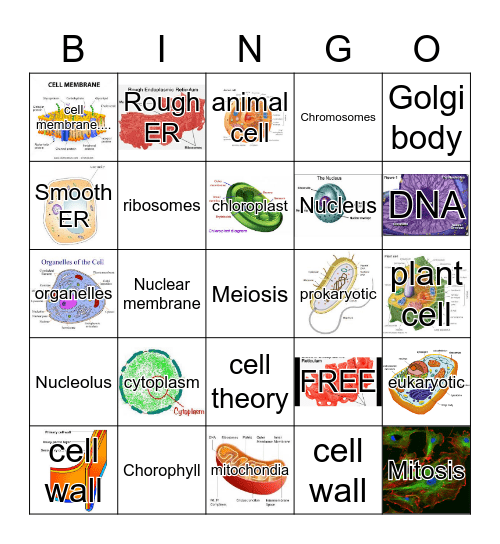 CELL BINGO Card