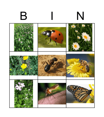 Biobingo nature Bingo Card