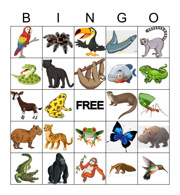 Rainforest Animals Bingo Card