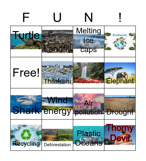 4,5,6 Enviro Bingo Card