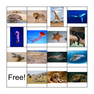 ANIMAL BINGO Card