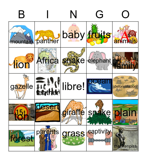 Cognate Bingo Card