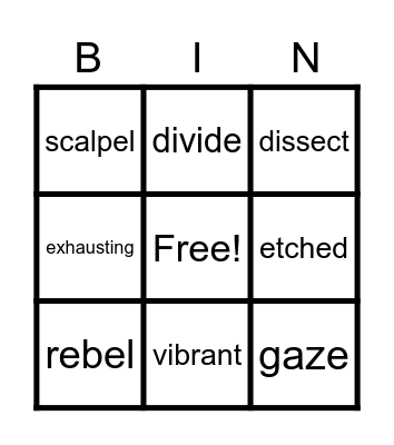 Dork Vocabulary Game Bingo Card