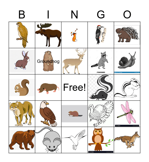 Wilderness Bingo Card