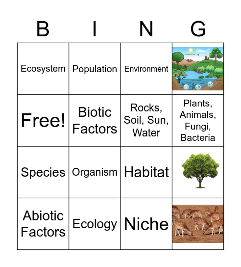 What Is Ecology Unit Vocabulary Words Bingo Card