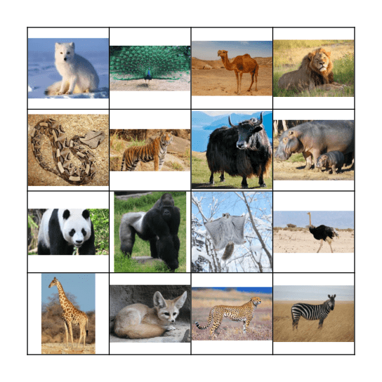 Animal Bingo Card