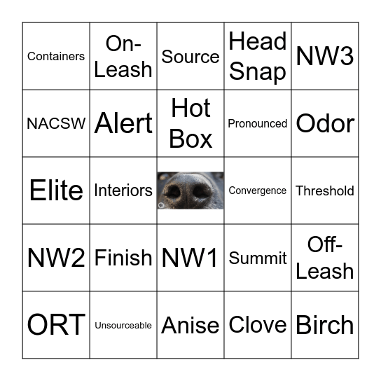 WiggleButts Bingo Card