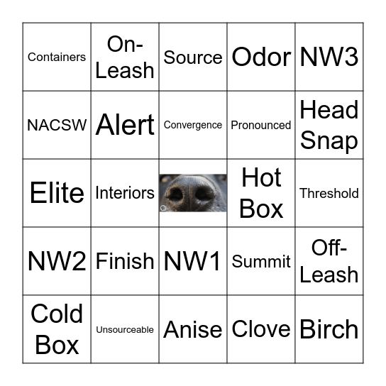 WiggleButts Bingo Card