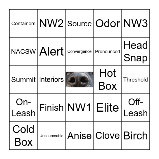 WiggleButts Bingo Card