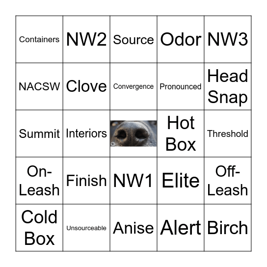 WiggleButts Bingo Card