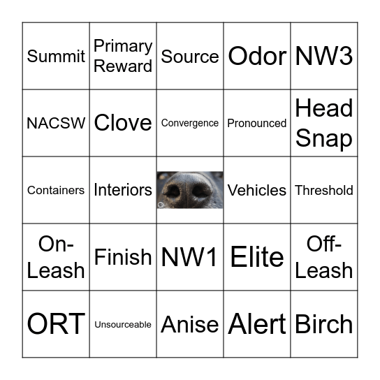 WiggleButts Bingo Card