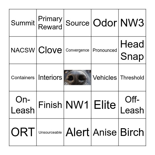 WiggleButts Bingo Card
