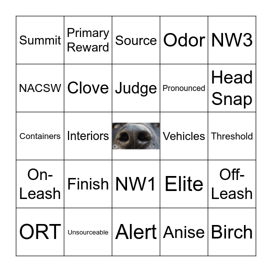 WiggleButts Bingo Card