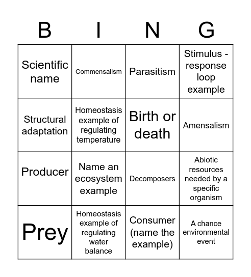 Year 11 Attenbro Bingo Card