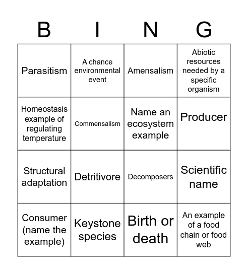 Year 11 Attenbro Bingo Card