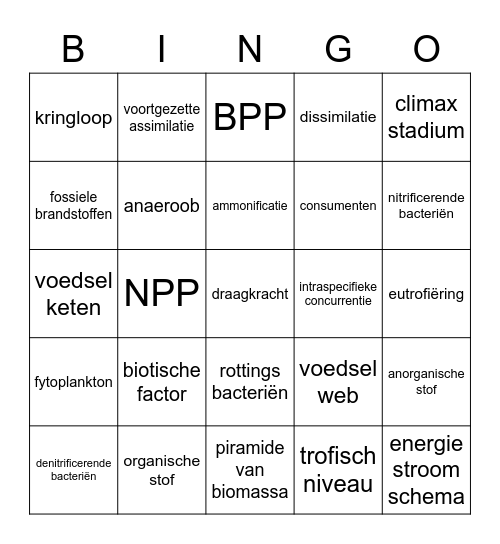 4V H8 BINGO Card