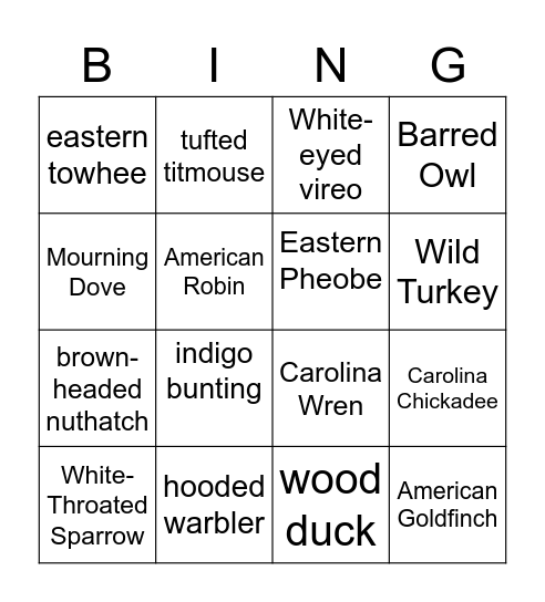 Louisiana Bird Bingo Card