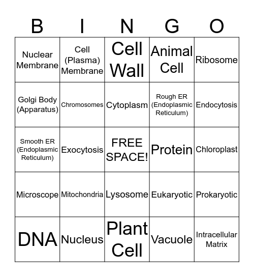 Cell Organelles Bingo Card