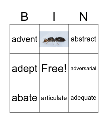 Animals Bingo Card