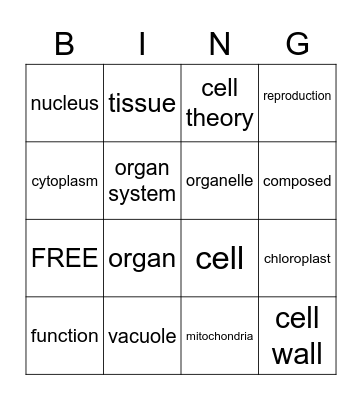 Unit 1 Vocabulary Bingo Card