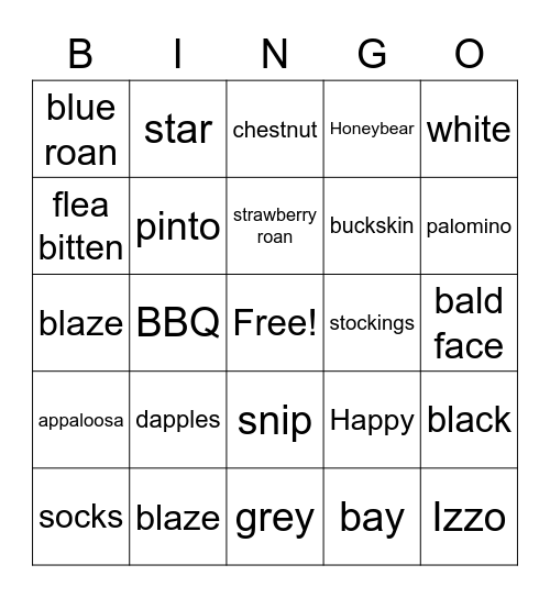 Horse color and marking BINGO Card