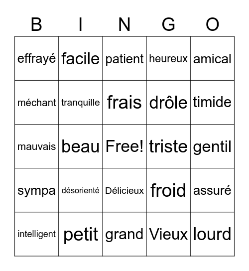 French Adjectives Bingo Card