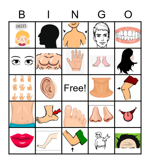 Body Parts Bingo Card