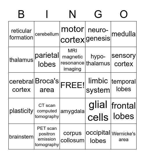 AP Psych Ch 3B: The Brain Bingo Card