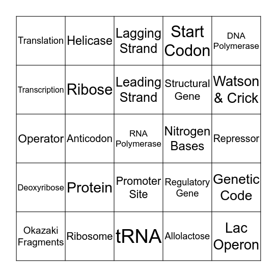 DNA Terms Bingo Card