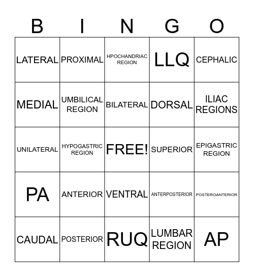 chapter 3 Bingo Card