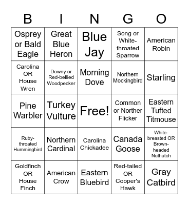 BIRD BINGO Card